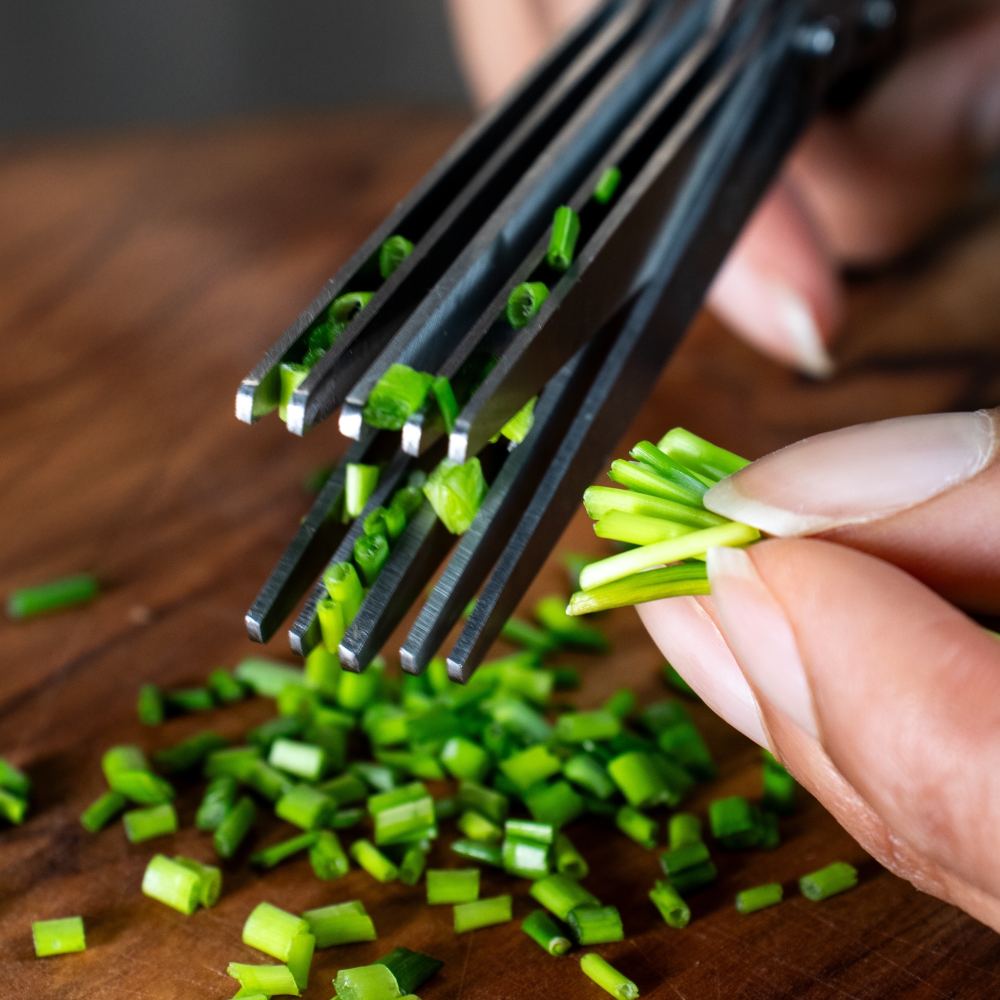 Herb scissors, 5 blades  - ERVASO | Culinaris