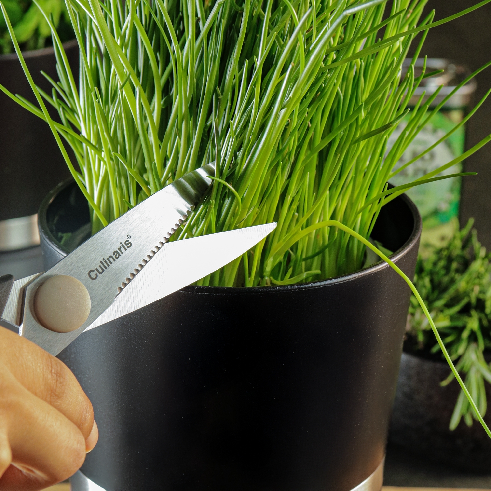 Multi-purpose scissors - CORTARIO | Culinaris