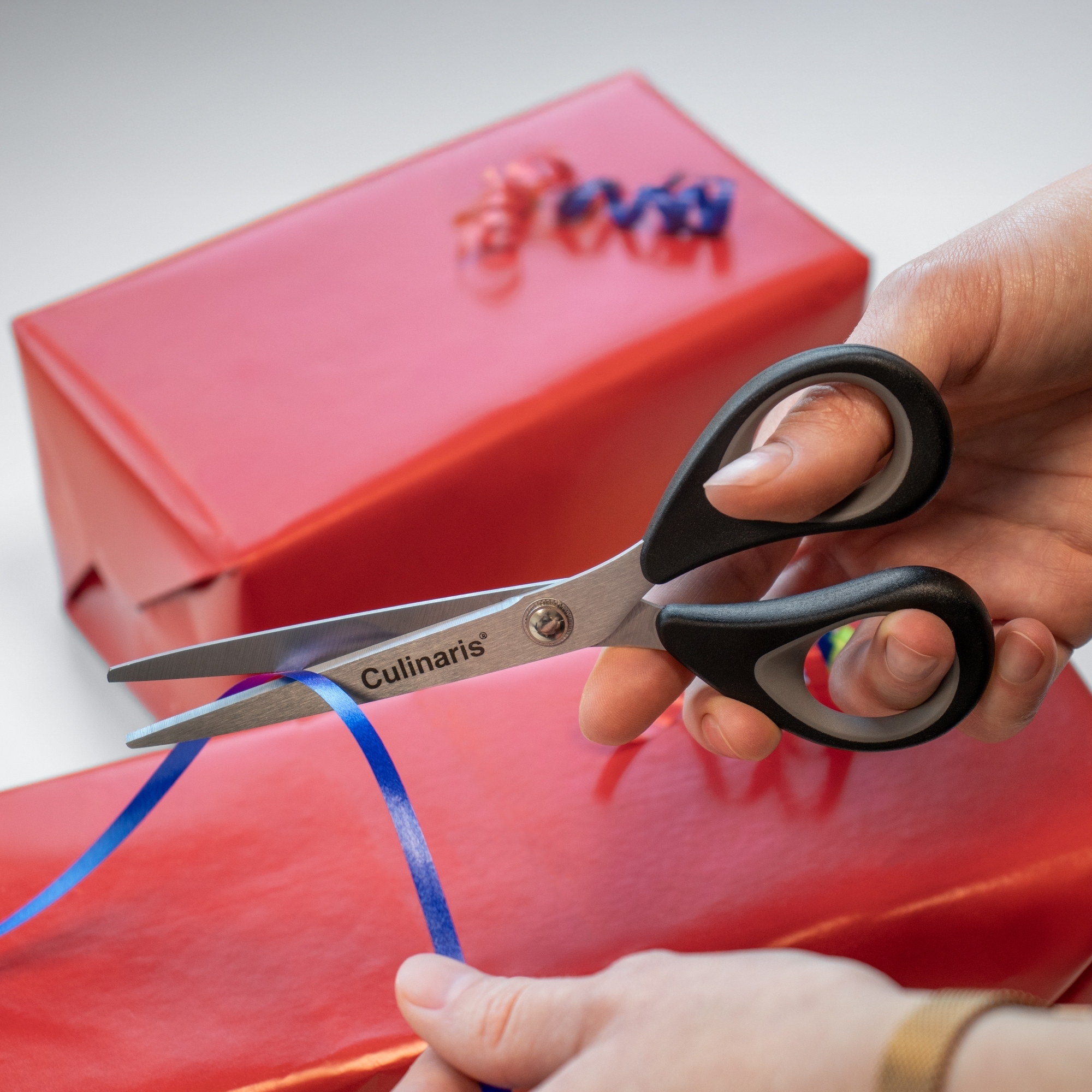 Small household scissors - CORTARIO | Culinaris