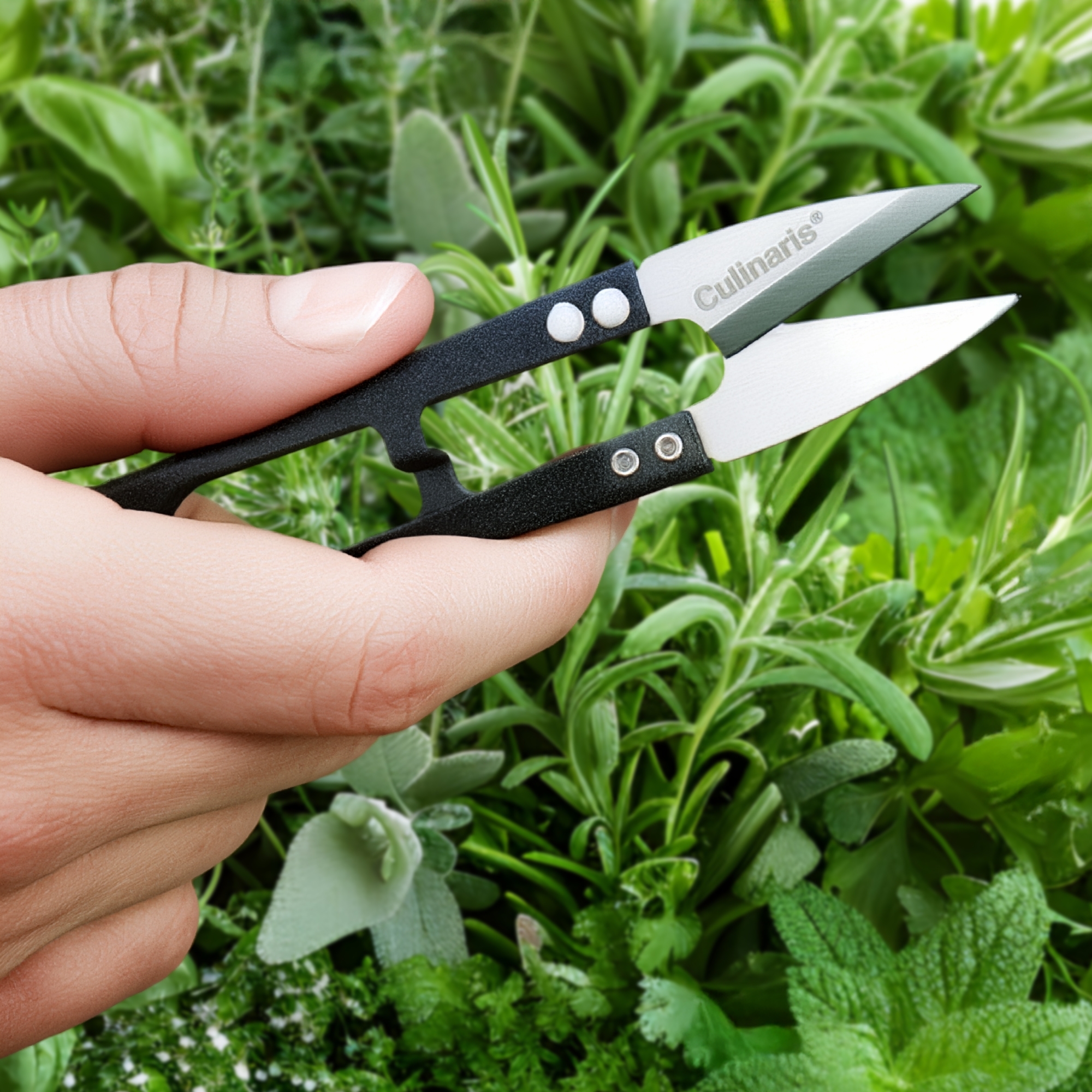 Mini herb scissors - HASAMIRO | Culinaris