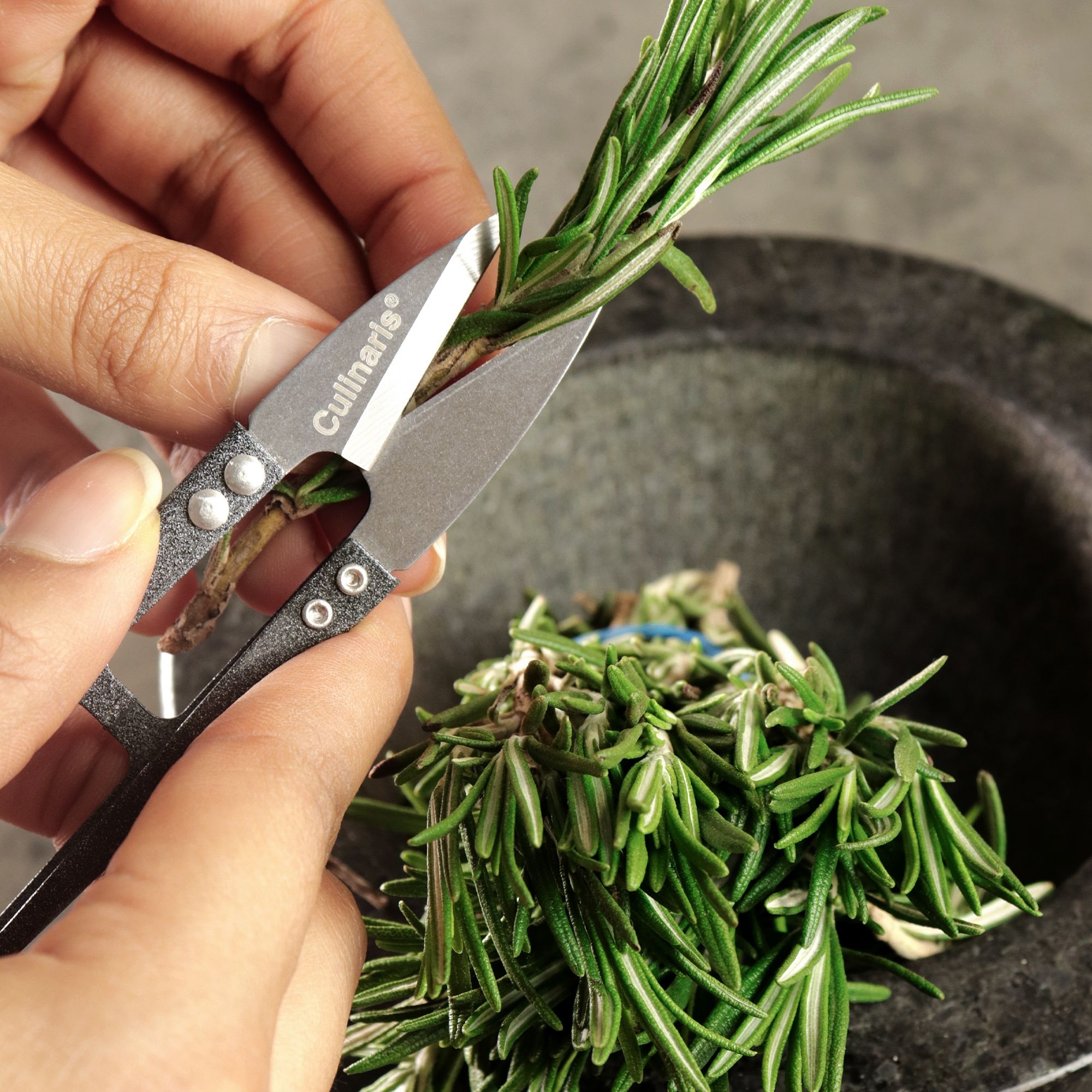 Mini herb scissors - HASAMIRO | Culinaris