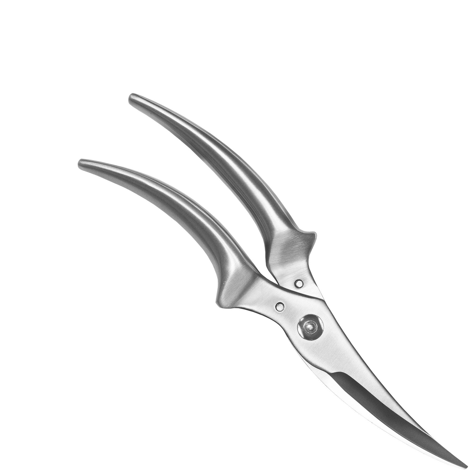 Poultry shears - POLLO | Culinaris