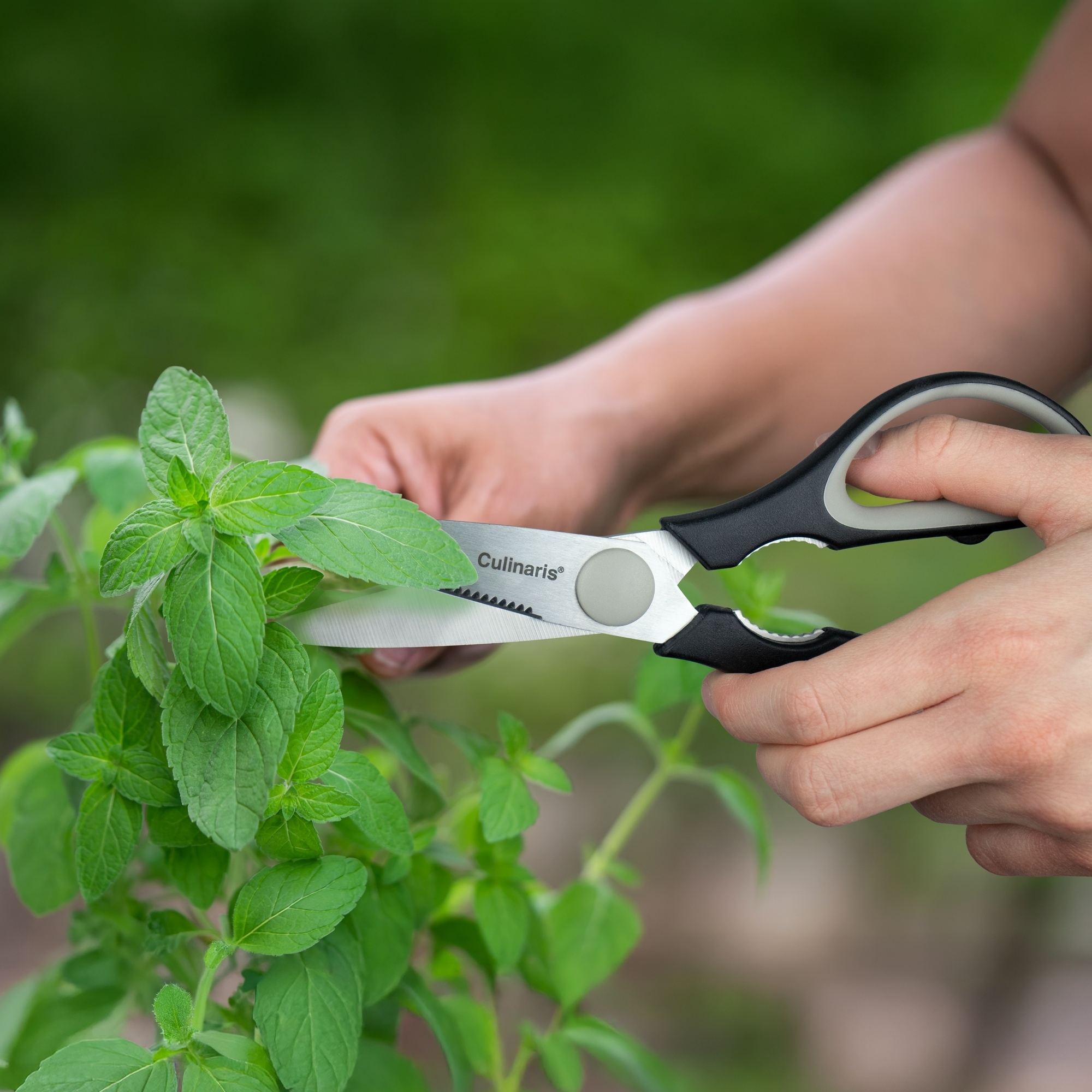 Multi-purpose scissors - CORTARIO | Culinaris