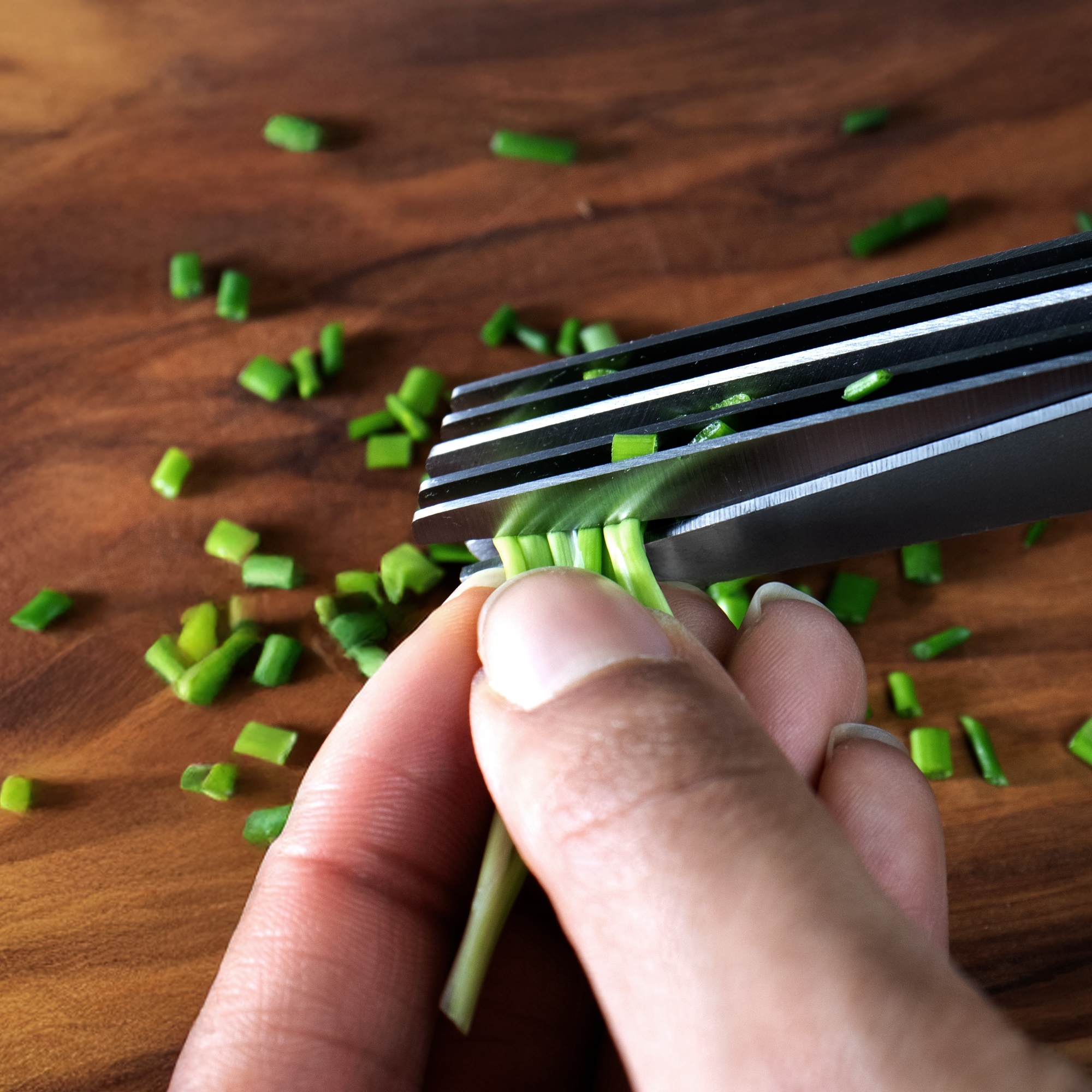 Herb scissors, 5 blades  - ERVASO | Culinaris